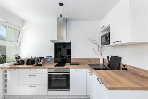 cuisine_vacance_mer_finistere_pas cher_le relecq kerhuon_chien_evea garden_appartement location