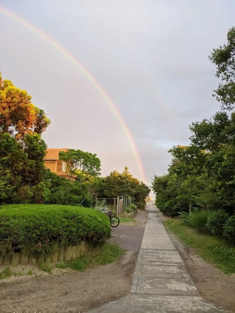 This Must be the Place!
(View from Our Houses to the Beach)