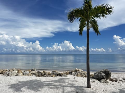 Enjoy a serene walk along the beach, mere steps from your condo.