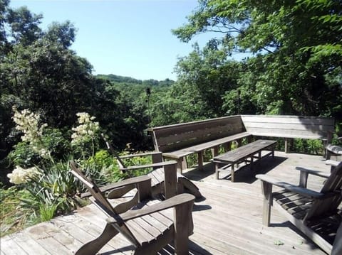 From the back deck you can see forever through the forest in all directions.