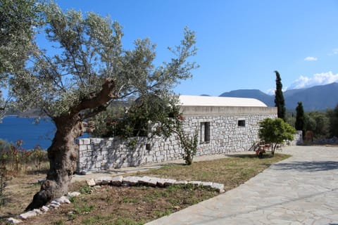 Main view