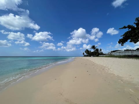 Freshwater Bay Beach - Steps from your apartment
