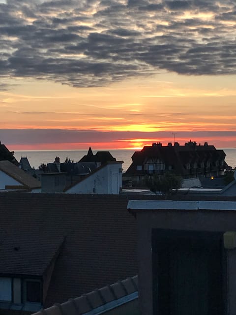 Vue roof top (avec Zoom)