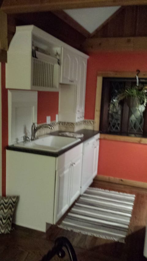 Sink, dishwasher, disposal, small appliances