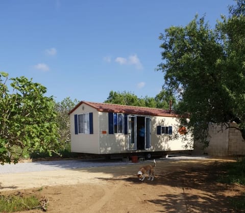 Mobile House overlook into the almond, Olive trees. Natural Escape vacation