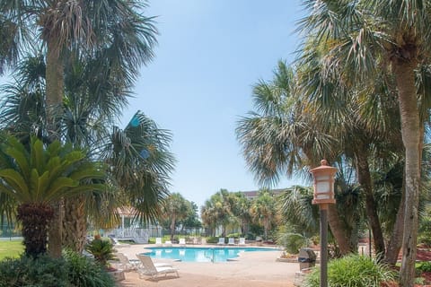 Welcome to Paradise!