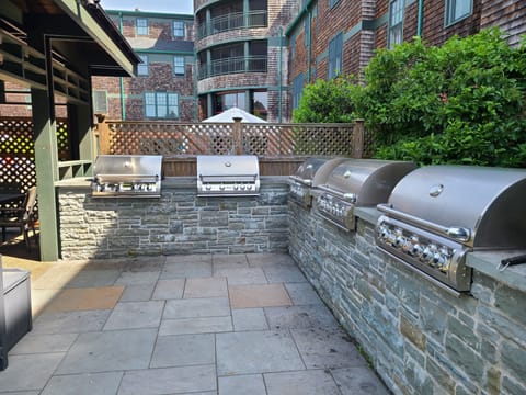 Barbecue Gas Grills