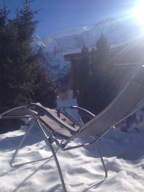 French Mountain Chalet. Winter sunbathing!