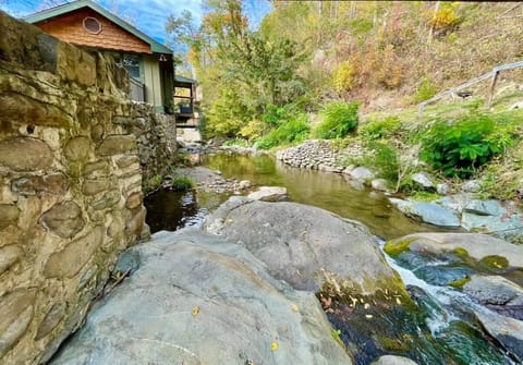 Incredible Roaring Fork Stream Waters!