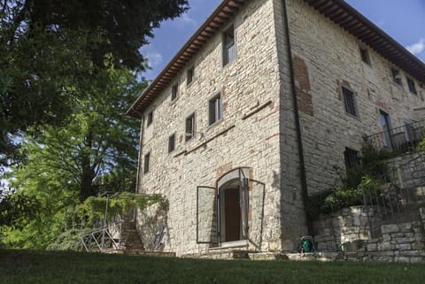 Cipresso studio at garden level