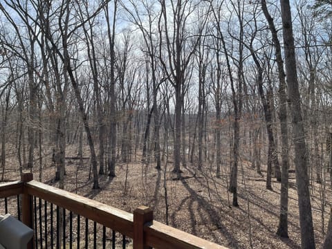 Back deck view when leaves are off trees