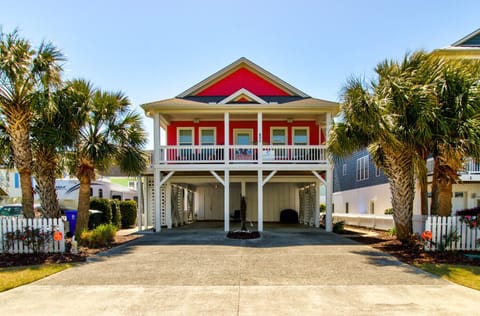 Hot Dogs in Paradise