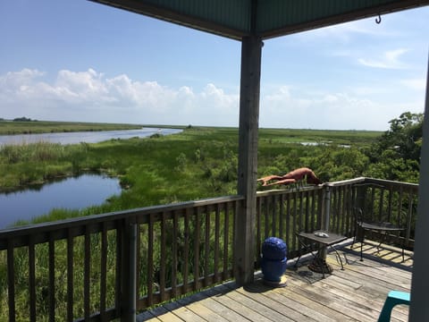 Scenic view from balcony facing bayou
