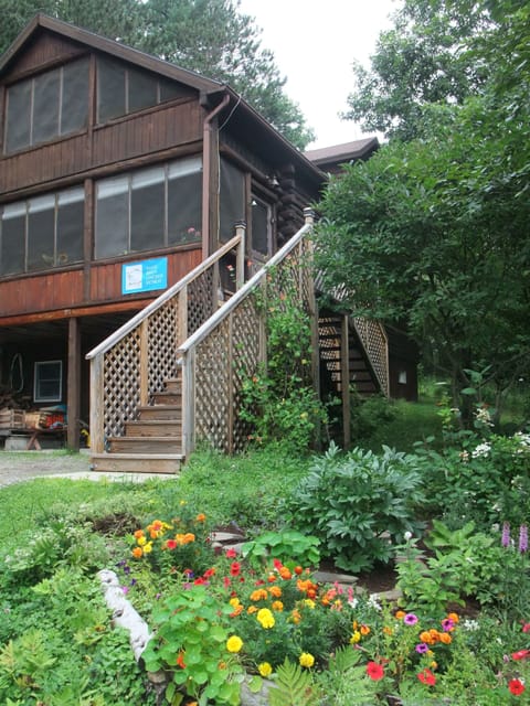 Summer Garden