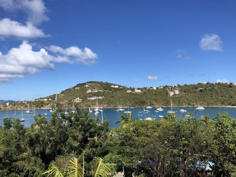 Great Cruz Bay 