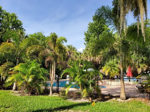 WELCOME TO THE MANGO TREE
            VACATION RENTAL
         