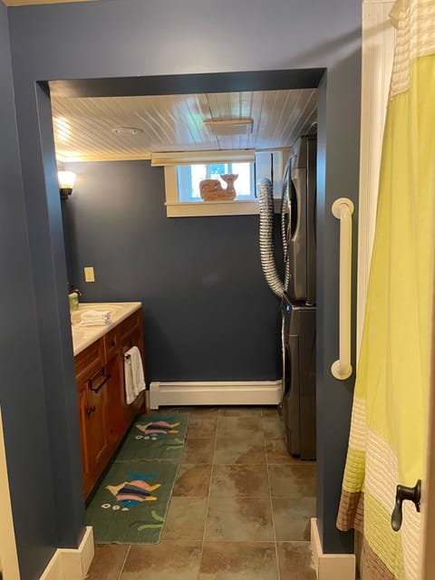 Lower-level bathroom and extra laundry facilities.