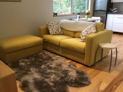 Cozy living room with soft lambskin rug
