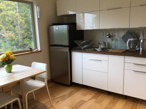 Kitchen beside large window overlooking our backyard.