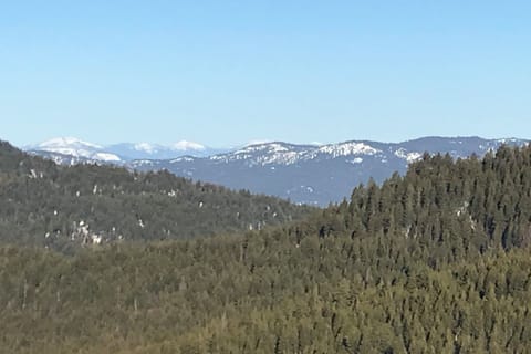 Mountain Cabin Near 49 Degrees North Ski Resort and the best Huckleberry picking House in Washington