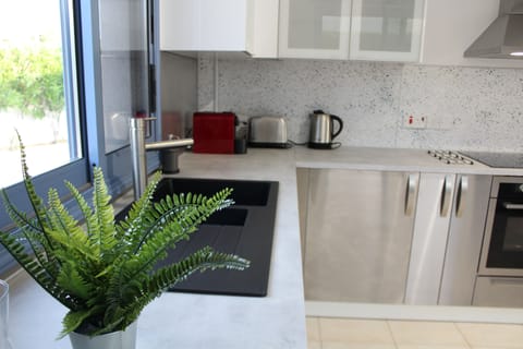 Akamas Lookout Peyia Pegeia Villa Kitchen