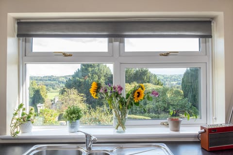Looking out onto the Conwy Valley