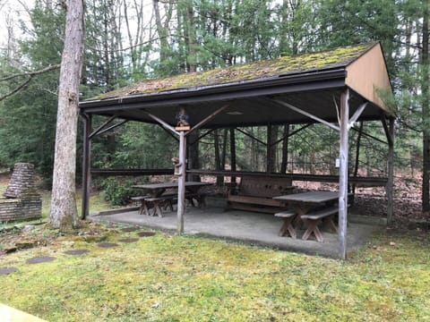 pavilion just outside kitchen door