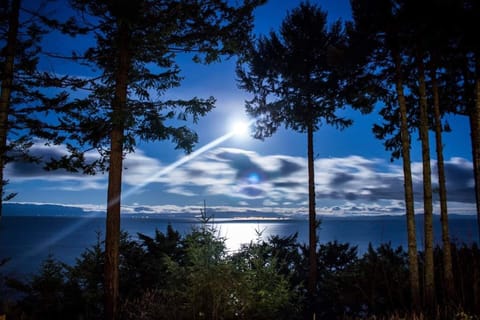 Night view from deck