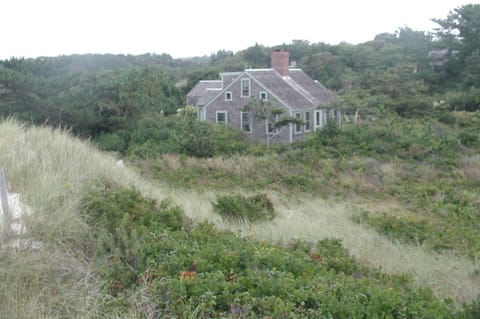 nestled in the dunes