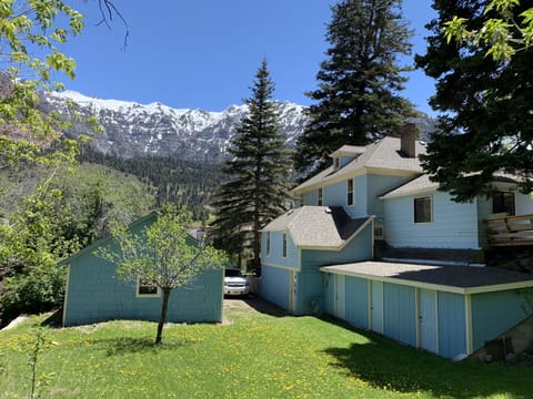 View from the Back Yard