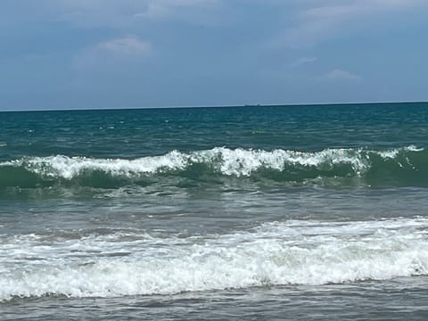 The beach!