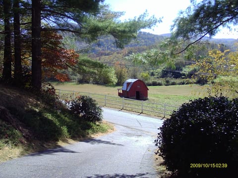 McCracken Farm with Mt. Wolfpen in background.