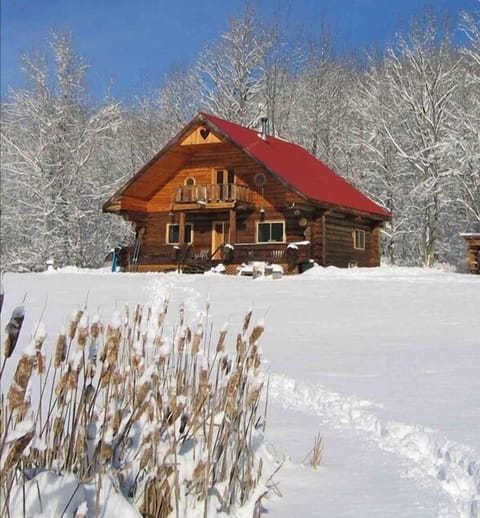 Let it snow, let it snow, let it snow