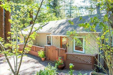 Redwoods all around!