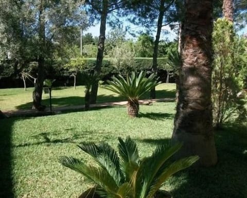 Picture 3