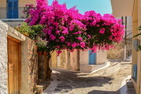 Wonder in the colorful and picturesque streets of the village