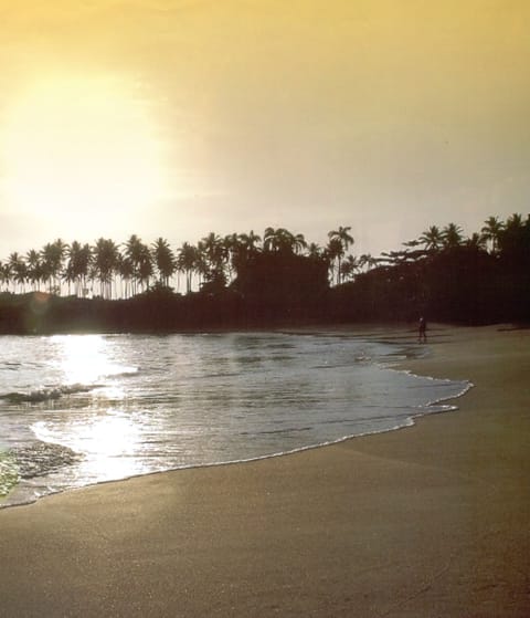 Sunrise paradise 