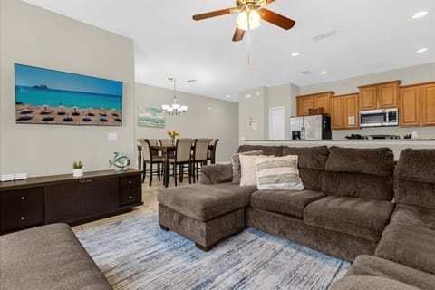8963CatPalmRoad(2)
