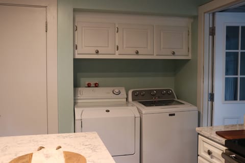 Laundry and kitchen pantry
