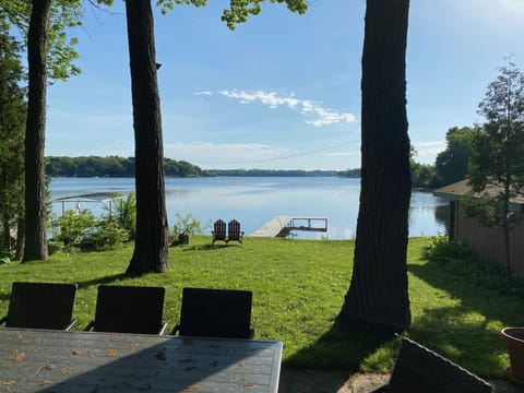 Summer Morning on the Patio