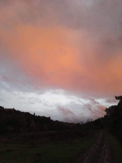 "Le Lavande" Romantic Dependance House in Tuscany