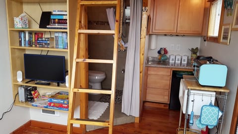 Roku TV with HDMI and USB, games, DVDs, books.