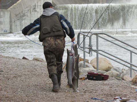 Tippy Dam Just 7 Miles Away