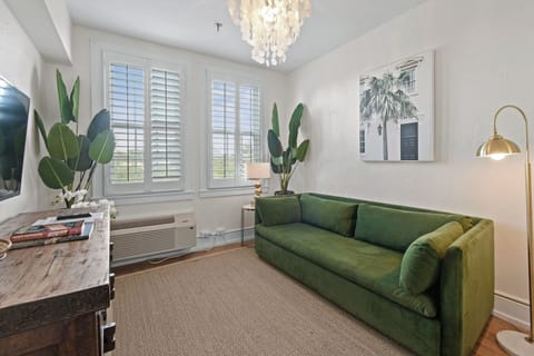 Pullout queen bed, smart TV, AC