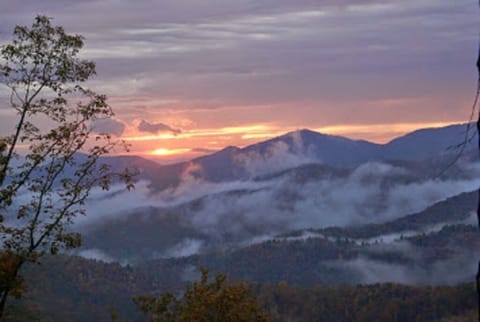 View on the way to the Two Buck on Davis Creek Road - NC Side