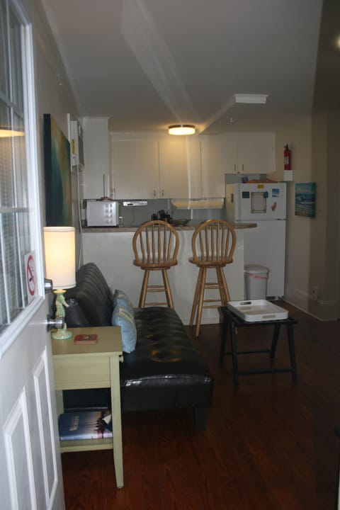 Entering apartment sofa on left / bed on right