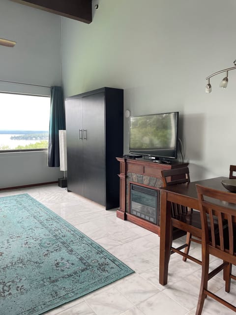 The living room has an electric fireplace with a 55"  Smart TV & a DVD player
