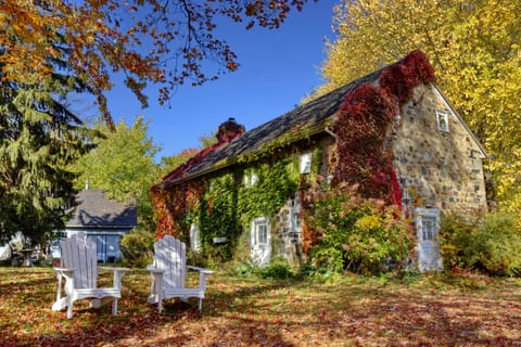 the house in fall
