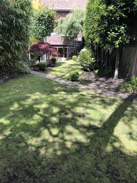 View from the end of the garden 