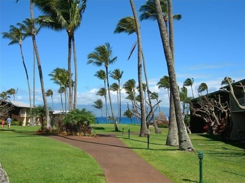 Walkway to the beach and the Gazebo